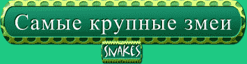 На главную